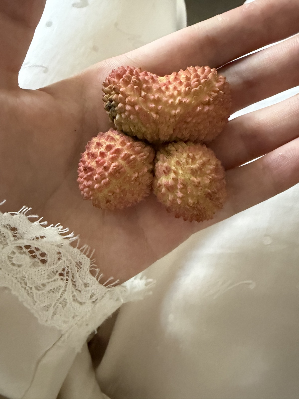 荔枝