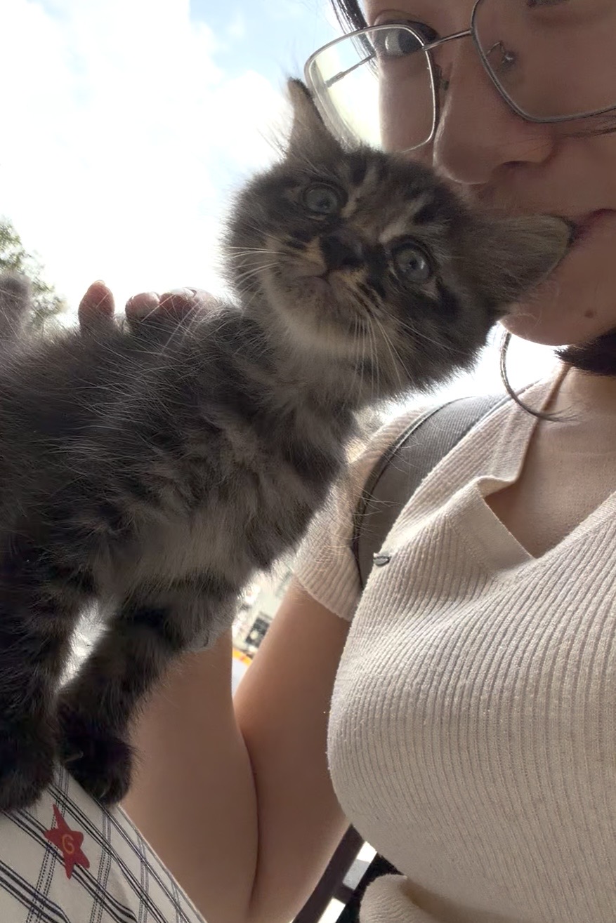 抱着小猫咪的照片